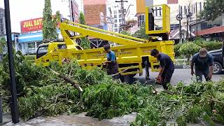 TRUK KONTEINER NABRAK POHON SAMPAI ROBOH KE AKAR AKARNYA⁉️ [upl. by Blader841]