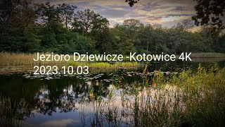 Jezioro Dziewicze  Kotowice 4K [upl. by Noivad]