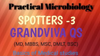 Microbiology Mbbs PracticalMicrobiology Practical spottersMicrobiology grandviva Qs [upl. by Atinrev]