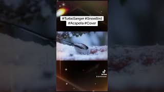 Turbosanger SnowBird accapella cover cute birds [upl. by Aronid]