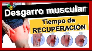 😰 DESGARRO MUSCULAR cual es su TRATAMIENTO en casa 🏠 [upl. by Entroc]