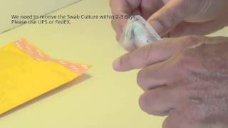 Swab Culture collection video [upl. by Brodsky853]