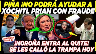 SE ACABÓ XÓCHITL Y PIÑA ¡NO PODRÁN HACER FRAUDE NOROÑA ENTRA AL QUITE TEPJF AMLO HOY [upl. by Ailongam]