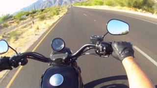 HarleyDavidson Nightster 1200 issue Rattling [upl. by Dellora]