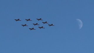 9 Snowbirds Flyover Panama Flats Saanich BC [upl. by Tnarg]