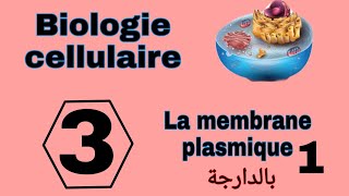 شرح بالدارجة لدرس membrane plasmique L1 من مادة Biologie cellulaire S1 Snv سنة اولى تخصص بيولوجي [upl. by Morgana]