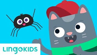 Itsy Bitsy Spider  Nursery Rhymes amp Song for Children  Lingokids [upl. by Annoled]