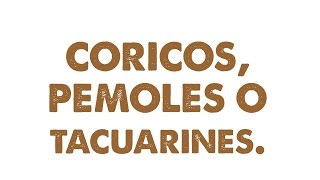 coricos pemoles tacuarines [upl. by Cyndia]