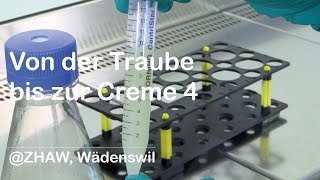 Von der Traube bis zur Creme 4 Wachstum und Produktion im Schüttelkolben [upl. by Llevron]