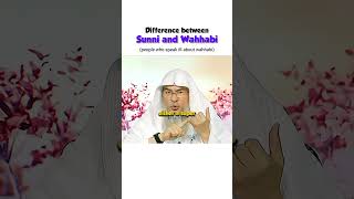 Difference between sunni and Wahhabi  people who talk ill about wahhabism  islam quran muslim [upl. by Dhar]