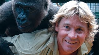 The Untold Truth Of Steve Irwin [upl. by Seuqcaj985]