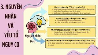 882024 Khánh Linh Y45 trình bày sỏi chủ mô thận Nephrocalcinosis [upl. by Calvin]