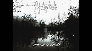 Plénitude  Plénitude de Solitude Single [upl. by Newell860]