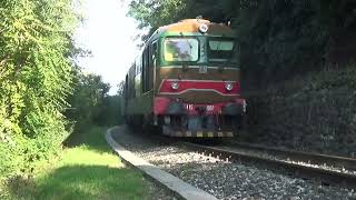 Sebino Express con la D445 1050 a Paratico  15 settembre 2024 [upl. by Satsok]