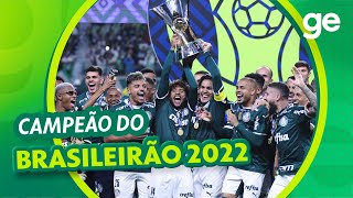 Campanha do Palmeiras no Brasileirão 2022  Figs Futebol Clube [upl. by Ettennej]