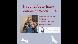 National Veterinary Technician Week 2024  Meet Andrea [upl. by Gunning]