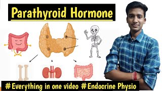 Parathyroid Hormone Parathyroid Gland PhysiologyEndocrine Physiology  Ashish Agrawal [upl. by Moersch]