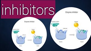 Inhibitors biology chapter 3 class11 [upl. by Uziel]