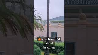 🇰🇷🍊3 day Trip to Jeju Island Without a Car  art museum aesthetic cafes what I ate  Korea VLOG [upl. by Hubert]