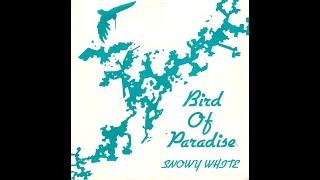 Snowy White  Bird Of Paradise [upl. by Nwahsear168]