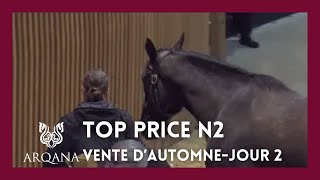 Top Price J2  N°2  100 000E  LASCAR DU MATHAN  H21  Vente Arqana dAutomne 2023 [upl. by Alister]