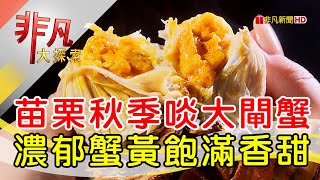 秋季蟹黃豐腴大閘蟹│苗栗美食必吃│黃金大閘蟹【非凡大探索】20241117 [upl. by Jb]