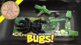 Gummy Beetle amp Dragonfly Bugs Candy Making DIY Japanese Kit 昆虫グミ図鑑  Kracie [upl. by Adon698]