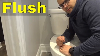 How To Flush A Toilet PROPERLYEasy Tutorial [upl. by Rubma]