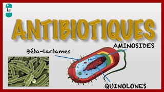 Les Antibiotiques et leur Pharmacologie [upl. by Annairba]