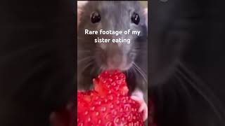 Rare footage of my sister eating rare rarefootage sister iloveyou [upl. by Bruis]