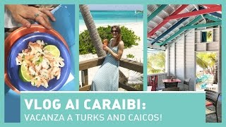 VLOG AI CARAIBI Vacanza a TURKS AND CAICOS [upl. by Idnahr]