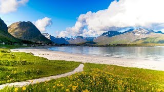 Uplifting Music  light positive happy music Gullrosøya  1 hour [upl. by Shabbir]