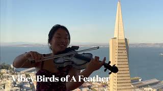 Electric Violin Covers PopHipHopRnBAfrobeats Instrumentals San Francisco Violinist Bay Area [upl. by Raval675]