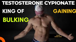 testosterone Cypionate Cycle  beginner steroid cycle  Gaining Cycle  bulking cycle [upl. by Elias]