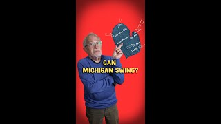 Michigan Voters Could Swing the Nation [upl. by Annaegroeg]