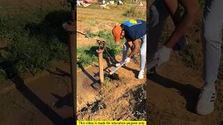 Tube well cemetery is clean 😱❔shorts facts [upl. by Briant]