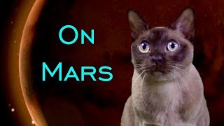 In The Name of Science Burmese Cat  NASA Mars InSight Lander 🚀 [upl. by Htes]