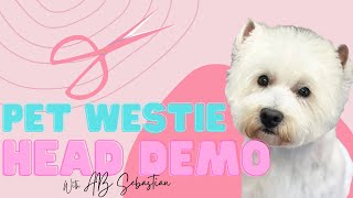 How to Groom a Westie Face [upl. by Soble]