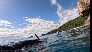 1 week of the Whitsundays Giant Trevally lobster Mackerel turtles sharks and more [upl. by Ilaw]