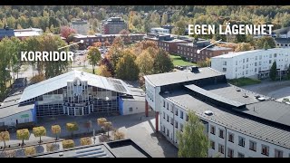 Boende i Örebro – så hittar du studentlägenhet [upl. by Yentroc]