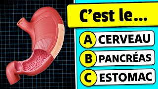 🧠 40 QUESTIONS sur le CORPS HUMAIN 💪🦴✅ Quiz de Culture Générale [upl. by Ahsilra]