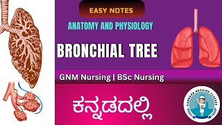 Bronchial Tree In Kannada  Respiratory system  Anatomy amp Physiology  Kannada Nursing Classes [upl. by Danyluk850]