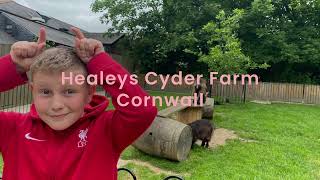 Healeys Cyder farm Cornwall [upl. by Anairuy]