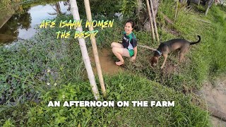 vlog 043 An afternoon on the farm in Isaan [upl. by Retswerb]