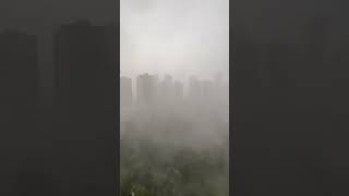 Tempestade derruba fios de postes e causa transtornos no Jardim Goiás em Goiânia [upl. by Gerta]