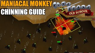 Old School RuneScape  Maniacal Monkey Chinning Guide [upl. by Domela]