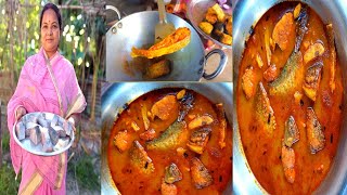 চিতল মাছের ঝোল আলু দিয়ে । chital macher recipe bengali style recipe frish chital [upl. by Yeliw407]