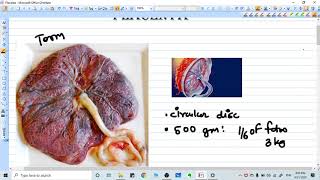 HUMAN PLACENTA FORMATION  ANATOMY FUNCTION [upl. by Zorah]