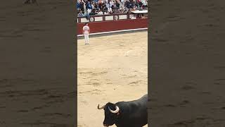 😮🏃🐂Impresionante lo que ha hecho Daganzo toros torosbravos recortes bull torobravo españa [upl. by Teirrah288]