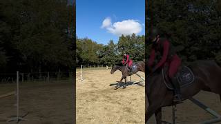 jumping avec Tommy Equestrian cheval TommyEquestrian THEquestrianFamily 🥰 chevaux equestrian [upl. by Eirallih261]